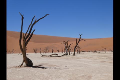 Winner Magda Bakowska 'Namib desert'
